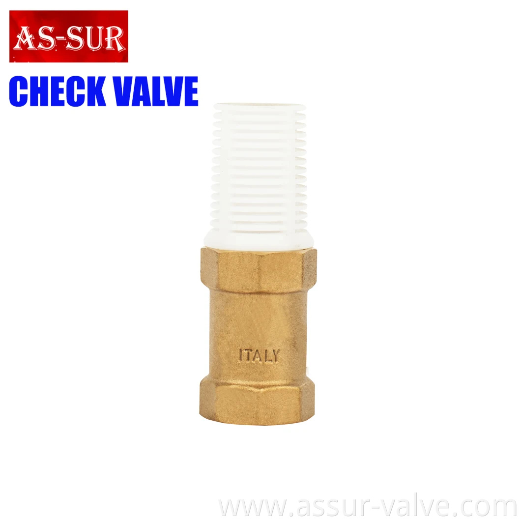 Water Pressure Reducing Non Return Vertical Brass Spring Swing Check Valve